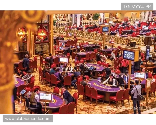 澳门金龙娱乐场最新优惠活动，丰富您的娱乐生活享受尊贵体验