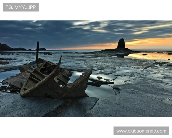 海洋之神国际版：探索海底宝藏的豪华探险之旅